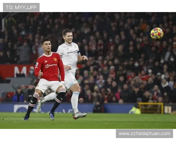 伯恩利战术解析