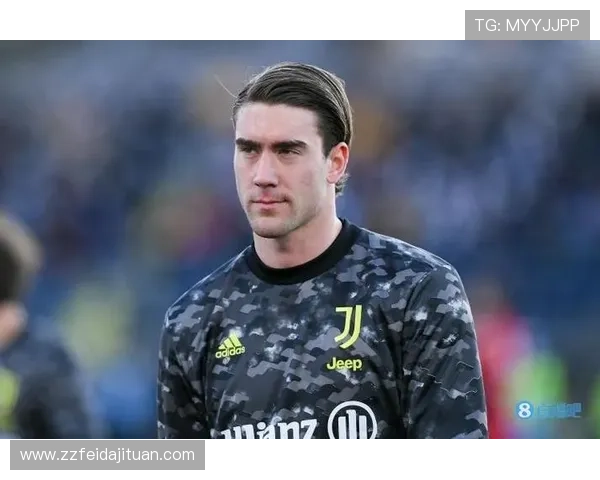 弗拉霍维奇：从潜力中锋到亿元先生的巅峰期成长解析